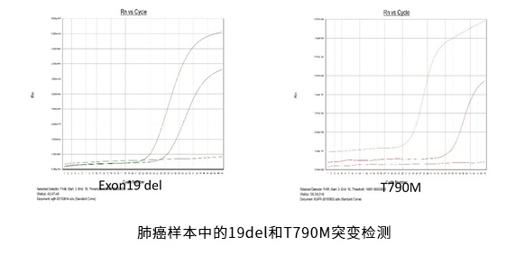 未标题-3.jpg